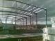 Distributie materiale de constructii Timis
