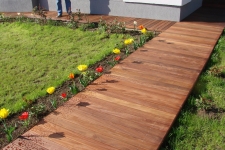 Parchet lemn masiv stejar - model cu bumbi wenge