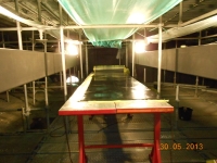 Componente plastic B-Team Timisoara
