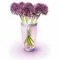 Corpuri de iluminat Philips pentru supermarketuri