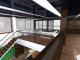 Servicii de proiectare - penthouse