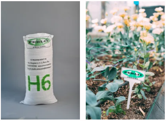 FireShot Capture 319 Despre Procema Perlit Procema Perlit www.procema perlit.ro