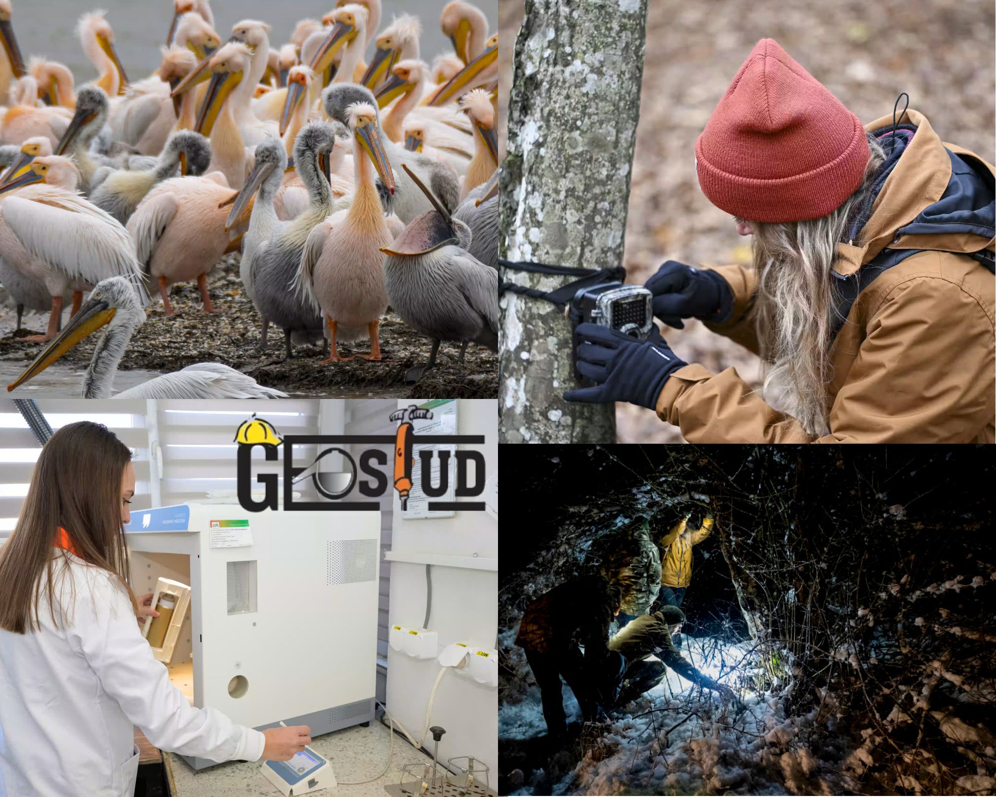 Studii geotehnice şi protecţia mediului