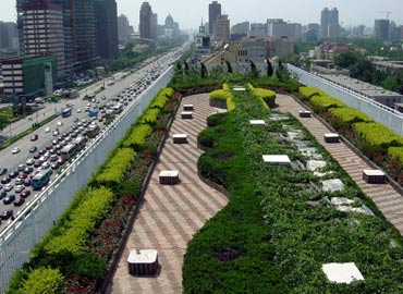 Gradina pe acoperis in Beijing