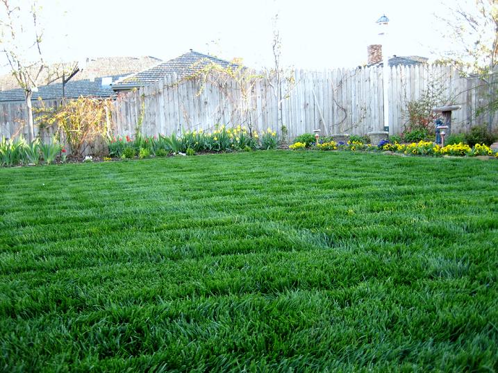 Peluza din fata casei