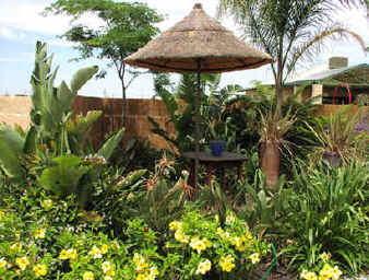 Gradina africana