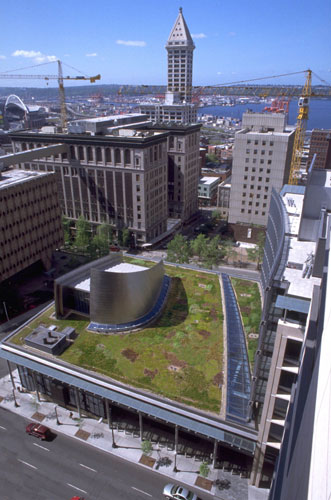 Gradini pe acoperisuri in Seattle